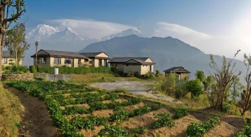 Hananoie - A Permaculture Resort Покхара Экстерьер фото